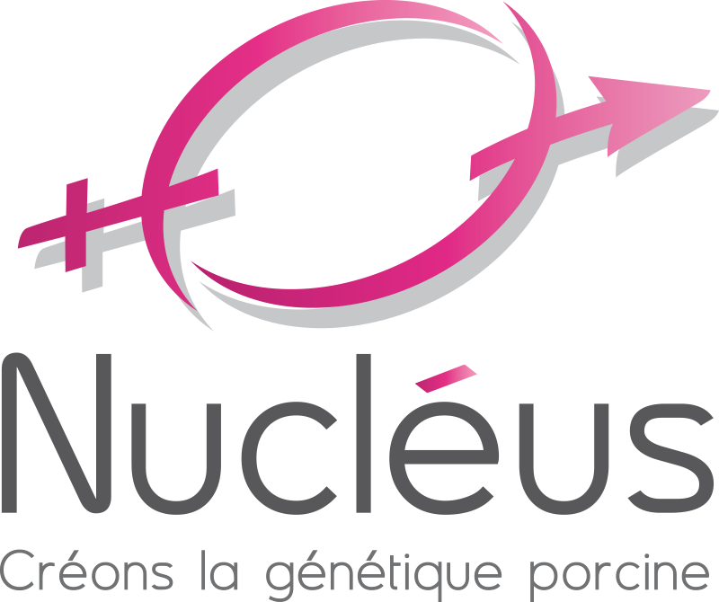 nucleus.png